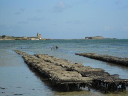 Manoir En Cotentin , Tamerville 외부 사진